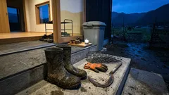 畑を荒らすクマが“すぐそば”にいるとき——遭遇前に見直す、暮らしのクマ対策